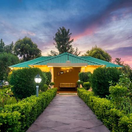 Tusk And Roar Corbett Resort, Jim Corbett Ramnagar  Esterno foto