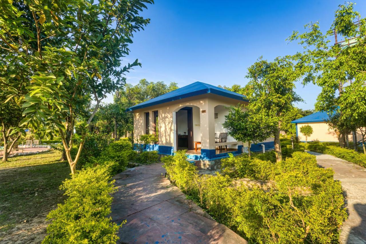 Tusk And Roar Corbett Resort, Jim Corbett Ramnagar  Esterno foto