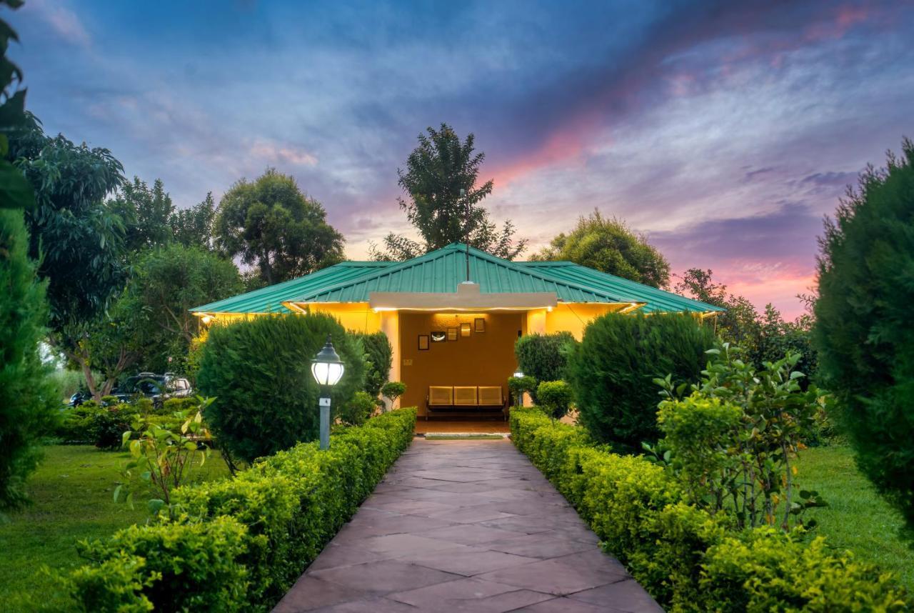 Tusk And Roar Corbett Resort, Jim Corbett Ramnagar  Esterno foto