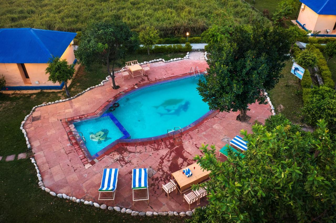 Tusk And Roar Corbett Resort, Jim Corbett Ramnagar  Esterno foto