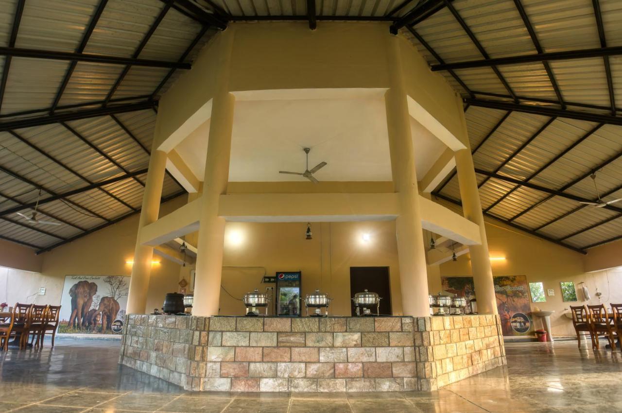 Tusk And Roar Corbett Resort, Jim Corbett Ramnagar  Esterno foto